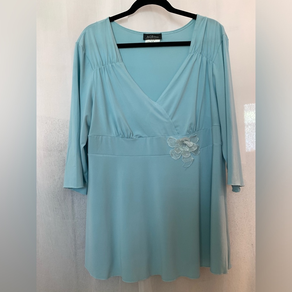 Beautiful Light Blue AGB 1X Top, EUC